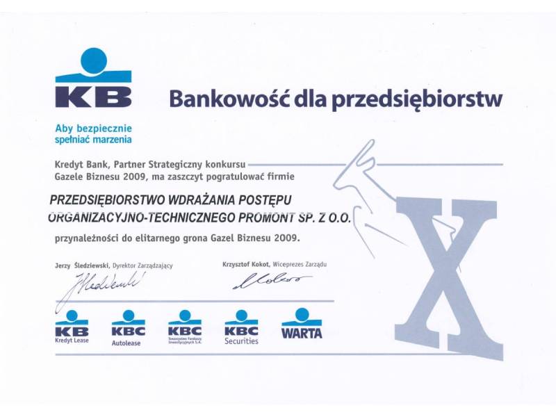 Bankowość Dla Przedsiębiorców 2009